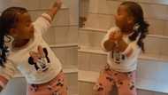 TikTok video of little girl's moves to amapiano leaves Mzansi convinced they've found new dance challenge