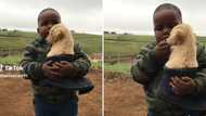 Video of young boy keeping his puppy warm in Ugg shoe gets 2.3M views on TikTok