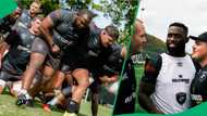 "It costs absolutely nothing": The Sharks' response to free ice cream after training has SA proud