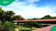 Hoërskool Brits mourns the loss of beloved matriculant 1 year after finishing school
