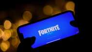 Dutch fine Fortnite maker for 'pressuring' kids with ads