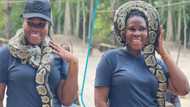 Lady spotted with snake wrapped around her neck, photos trigger reactions: “I'd faint”