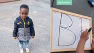 TikTok video of 3-year-old writing tomato including 6 more words and numbers, Mzansi impressed by smart kid