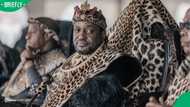 King Misuzulu prays Madlanga Commission won’t call him, South Africans question what he knows