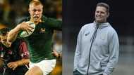 Ex-Springboks coach Rassie Erasmus responds to professional critic, gets dragged