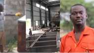 Sulley Abubakar: Meet CEO who quit law school to start charcoal factory