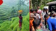 Missing mother of 4 found dead inside belly of 4-metre long python: It swallowed her whole