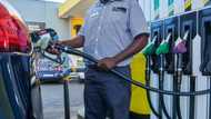 Department of Energy admits petrol increase information is wrong, it's 75c per litre