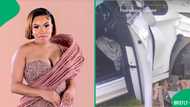 "Good, you let her go": Domestic worker endangers boss's kids and damages property, SA astonished