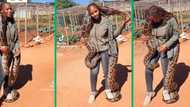 TikTok video of brave woman posing with a huge snake gives Mzansi the creeps