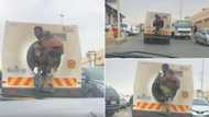 Haibo: Man hitches a ride with money truck, Mzansi can't deal