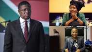 Mbalula apologises to NDZ, says he's ready for Busisiwe Mkhwebane in court
