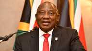 SA thinks President Cyril Ramaphosa is behind the Basic Income Grant leaked reports