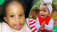 “Mara, SA is a film”: Mzansi in stitches as baby handles spam caller like a pro in video