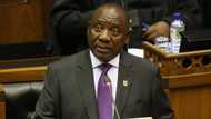 Phala Phala report: President Cyril Ramaphosa’s proposed family meeting sparks speculations