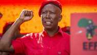 Julius Malema says EFF will appeal High Court's CR17 bank statements ruling