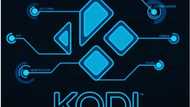 Best KODI South Africa add-ons and a comprehensive guide on their installation process