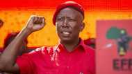Julius Malema: Mzansi responds to trial date set for EFF leader