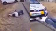 Clip of man behaving like a snake leaves Mzansi scratching their heads