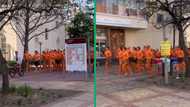 Video of orange men running in Stellenbosch sparks amusement online, netizens joke they look like Cheese Curls