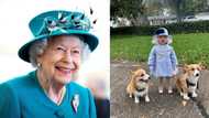 US child dresses up like Queen Elizabeth II and ends up getting royal mail