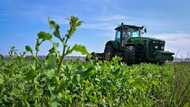 EU pledges more cash in Ukraine grain standoff, Bulgaria bans imports