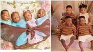 Many react massively as adorable 'then & now' photos of quadruplets surface online