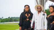 Showmax's Diamond and Dolls cast, trailer, seasons, episodes