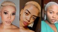 "Awusemhle": Girls with short hair rake in all the compliments online