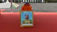 Mali peacekeeping force in the balance as countries withdraw