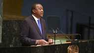 Cool head in a rough region, Kenya faces test in election