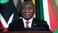 Cyril Ramaphosa calls for new youth employment strategies as South Africans question his promises
