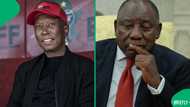 "Why should we subject criminals to commissions": Malema slams Ramaphosa for protecting Mchunu