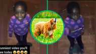 Little girl's performance shut down by dog, TikTok video of kid running for her life has Mzansi in tears