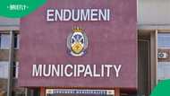 Endumeni Municipal Manager in KwaZulu-Natal resigns amid security tender saga, SA not surprised