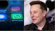 Uncertainties for WhatsApp as Signal gets endorsed by Elon Musk