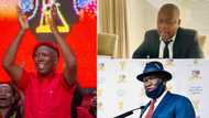 Masina says he'll be in bed early but Malema will be celebrating