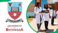 Full list of University of Botswana courses and requirements