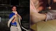 Man vs snake: Video shows handler catching 2.5m-long Black Mamba