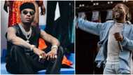 Wizkid and Burna Boy receive nomination from popular Brazilian award show BreakTudo