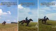 Video of young boy travelling to school on horseback gets 2.6M views on TikTok