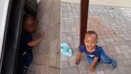 Mzansi parents lose hide and seek game after looking for toddler for 1 hour, finds him under VW Polo in viral TikTok