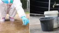 Cholera outbreak in Hammanskraal claims more lives, death toll reaches 12, South Africans blame the ANC