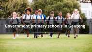Here is a list of government primary schools in Gauteng (2025)