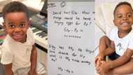 Meet the child genius who taught himself Japanese in a day and solves Maths equations