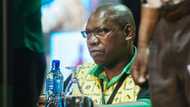 Zweli Mkhize says he was called to rescue the ANC, Mzansi says “He is the challenge himself”