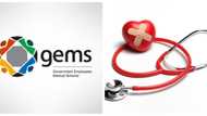 GEMS contact list in South Africa in 2022: All about GEMS medical scheme