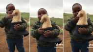 TikTok video of sweet boy holding puppy in shoes has Mzansi hearts melting: “Keeping his baby warm”