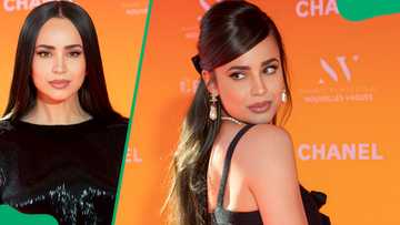 Who is Sofia Carson dating? Her boyfriend and dating history - Briefly
