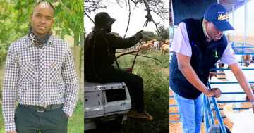 Livestock Owner Opens up about His Passion for Farming and South Africa ...